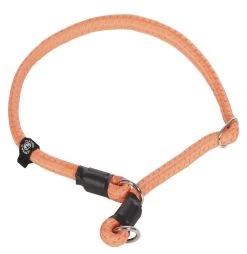 Icepeak Pet Prozone Round Collar Orange