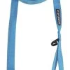 Icepeak Pet Winner Basic Leash Turquoise