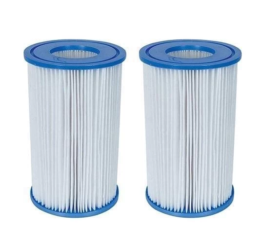 Intex Zwembad Filter Cartridge Twin A