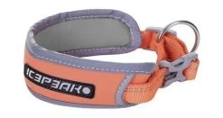 Icepeak Pet Brightly Collar Oranje