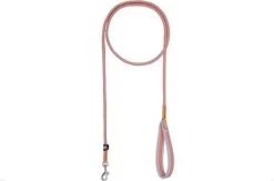 Icepeak Pet Special Leash Brightly M