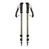 Black Diamond Trail Explorer Trekking Wandelstokken Groen